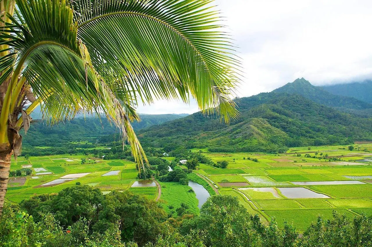 Apartment Waipouli Beach Resort Luxury Ocean View Condo Kapa'a